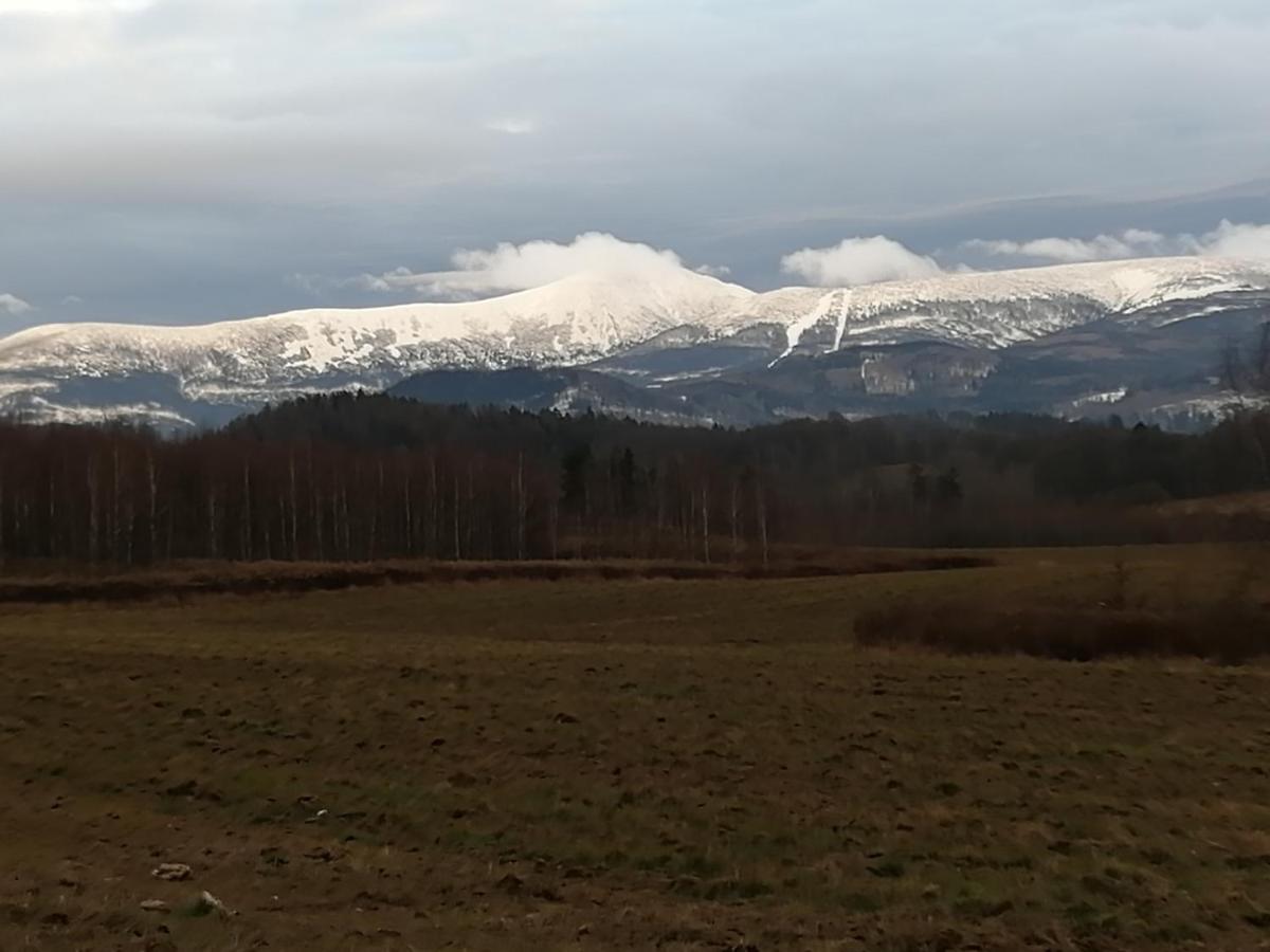 Apartament Zielone Wzgorze Jelenia Góra Buitenkant foto